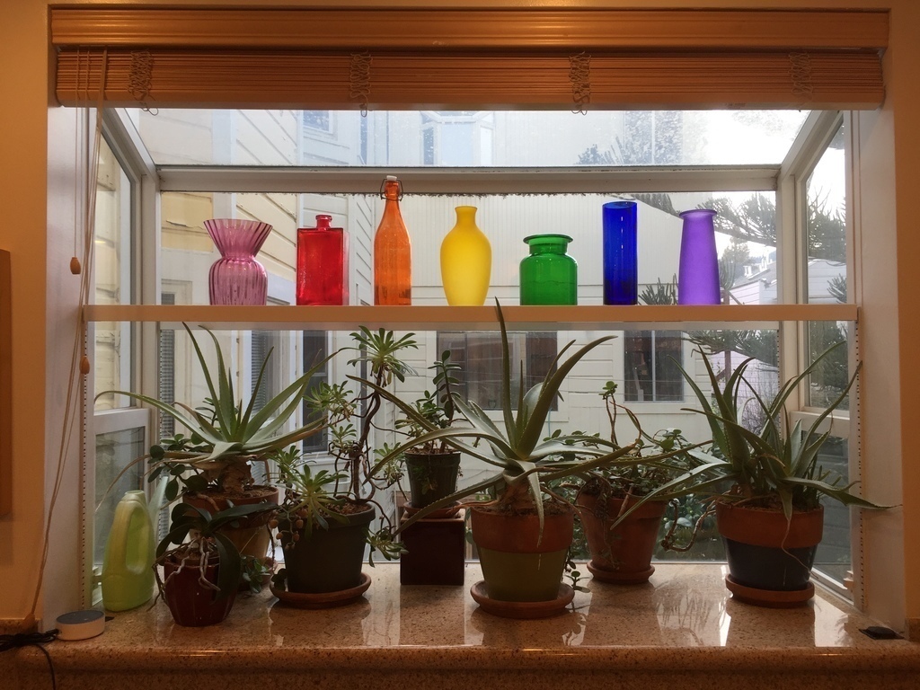 garden window at the kitchen sink