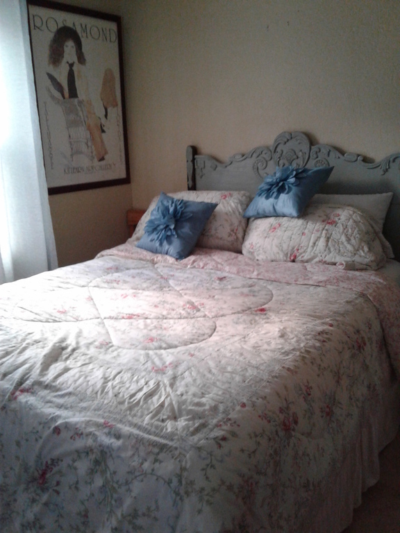 Second Bedroom, Queen bed.