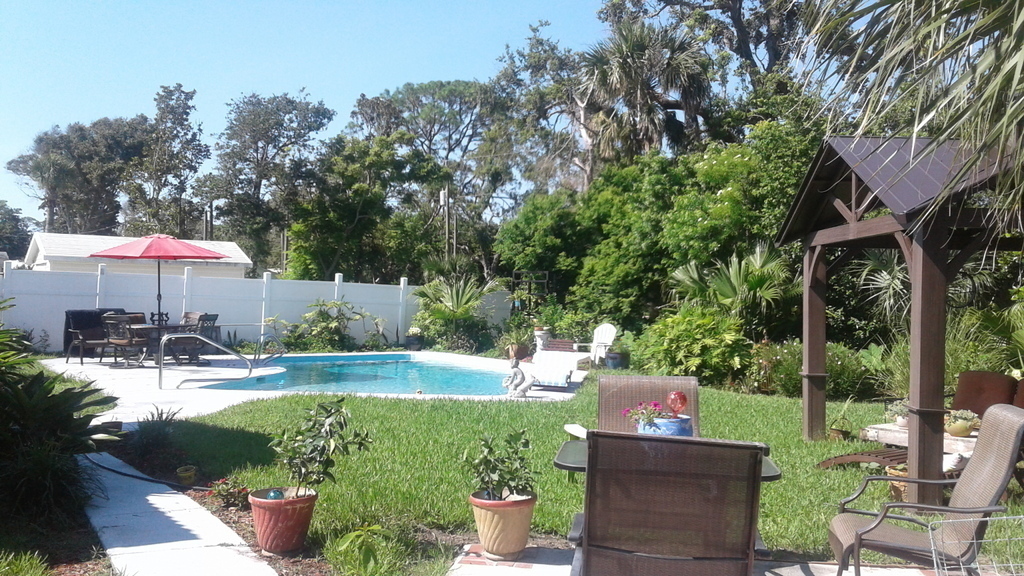 Our lush backyard with pool and gazebo