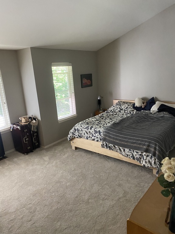 master bedroom (king bed)