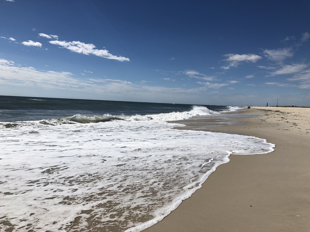 Robert Moses Beach (15 min drive)