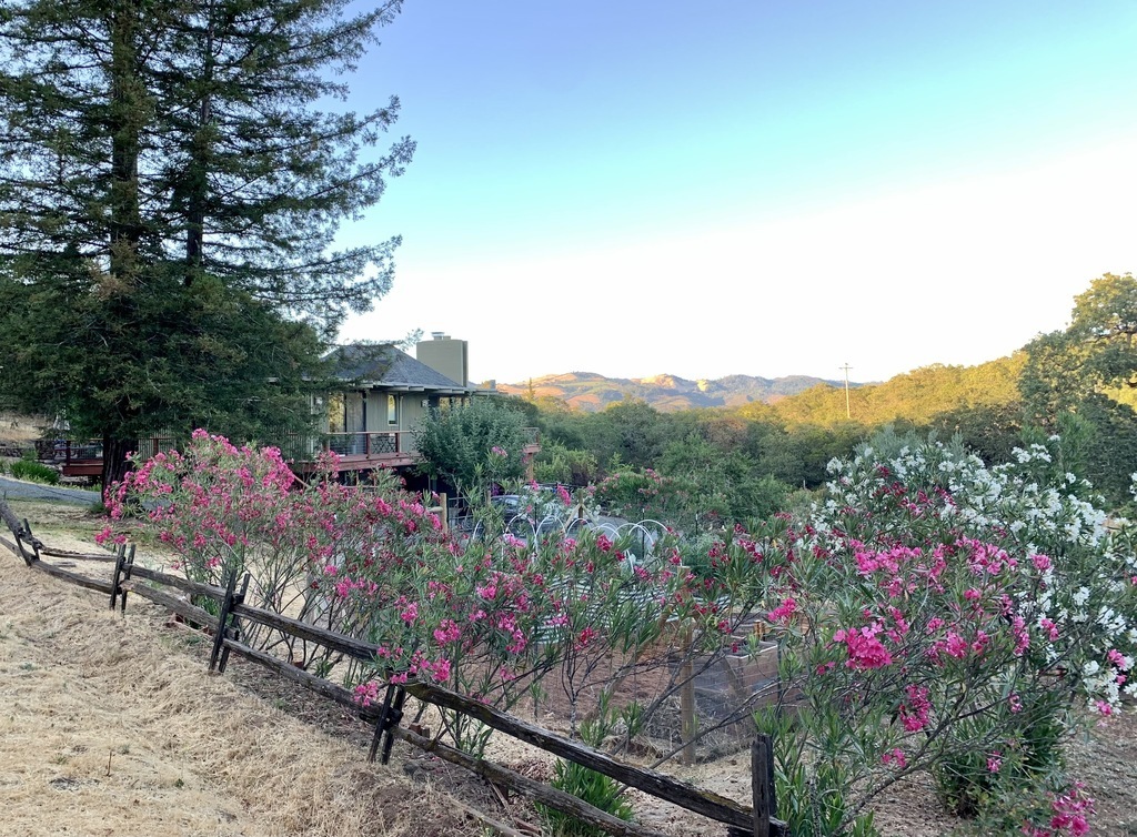 The home from the south, across the vegetable garden (Mayacamas mountains in the distance)