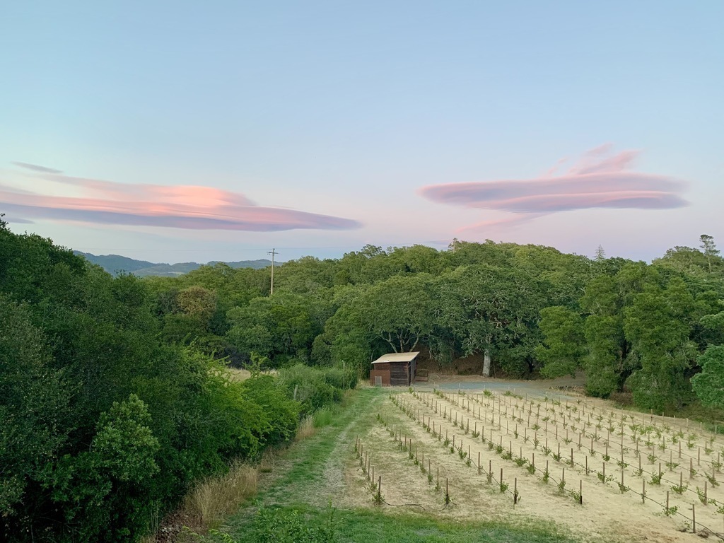 360º views are unobstructed by any other homes. (At the bottom of the vineyard is Kitty's "Pumphouse" writing studio)