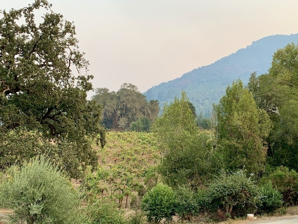 View from our deck toward Sonoma Mountain