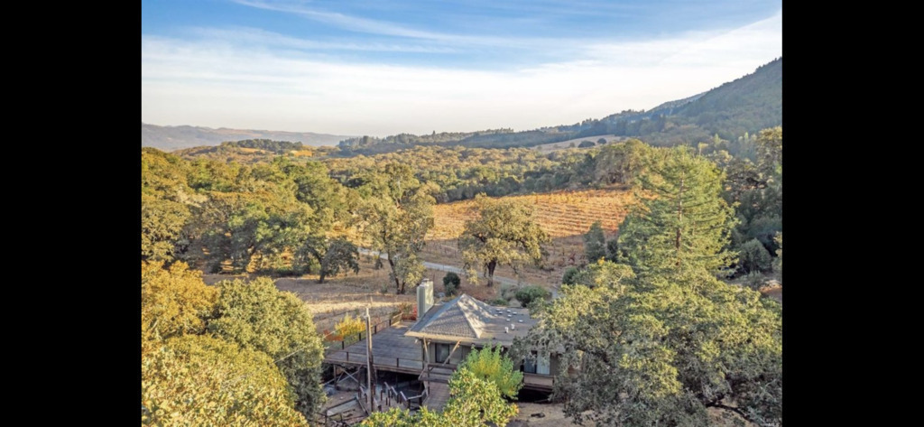 Aerial view of the property, with the neighbor's Zinfandel vineyard beyond