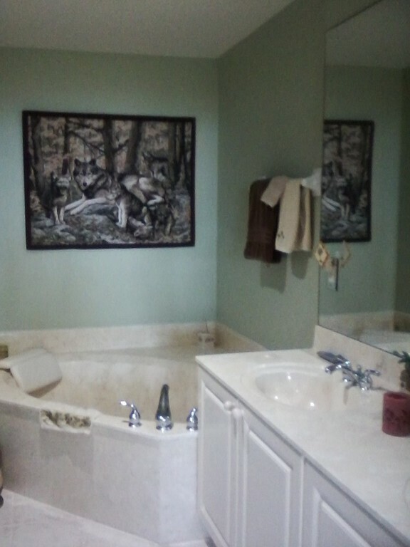 master bath - shower and tub