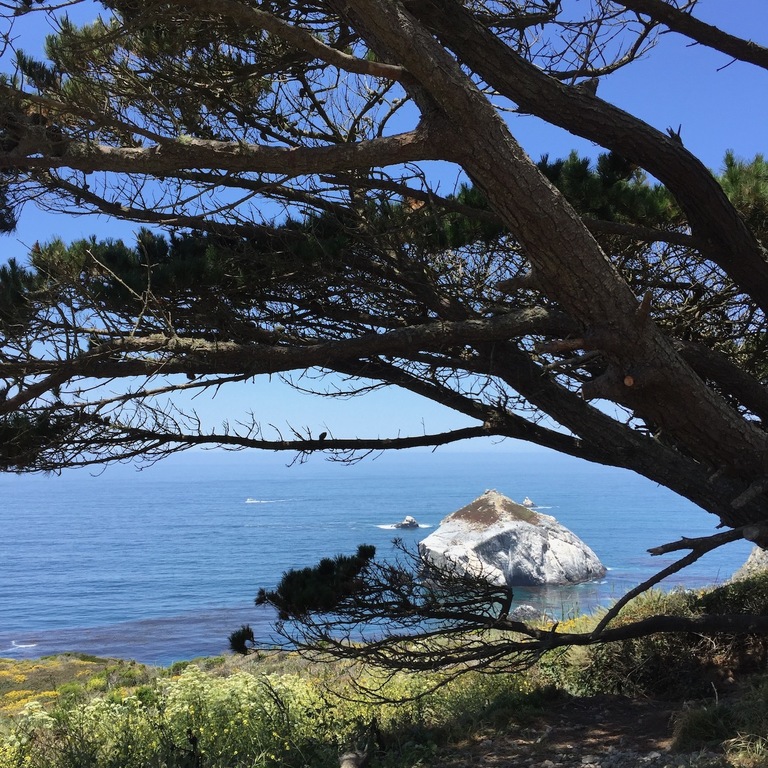Los Padres National Forest  - Big Sur on the Pacific Coast Hwy