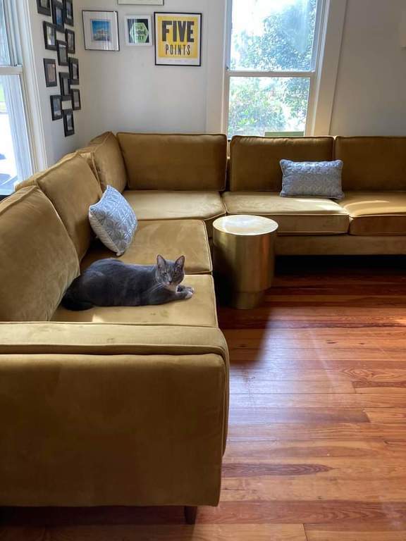 New Velvet Sectional Couch in the Downstairs Living Room