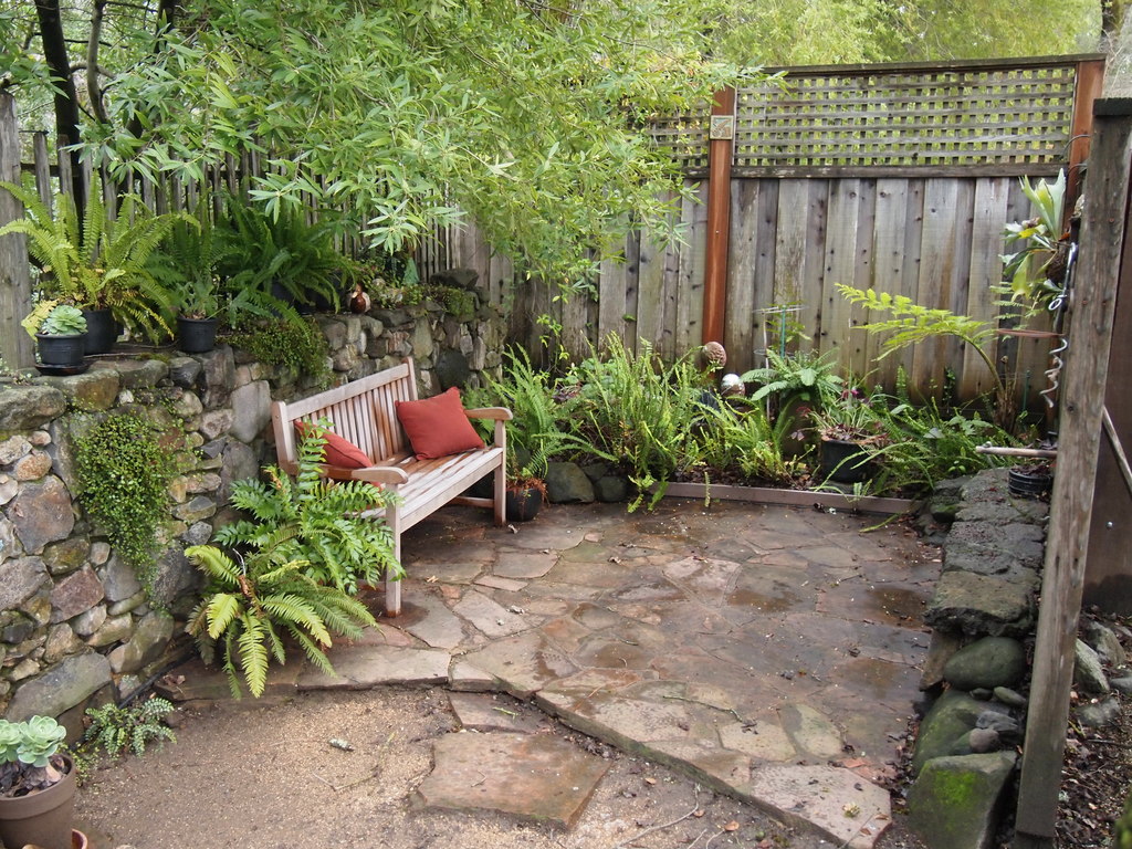 The Shade Garden