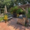 Outdoor Kitchen