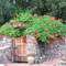 The Hummingbird Gate