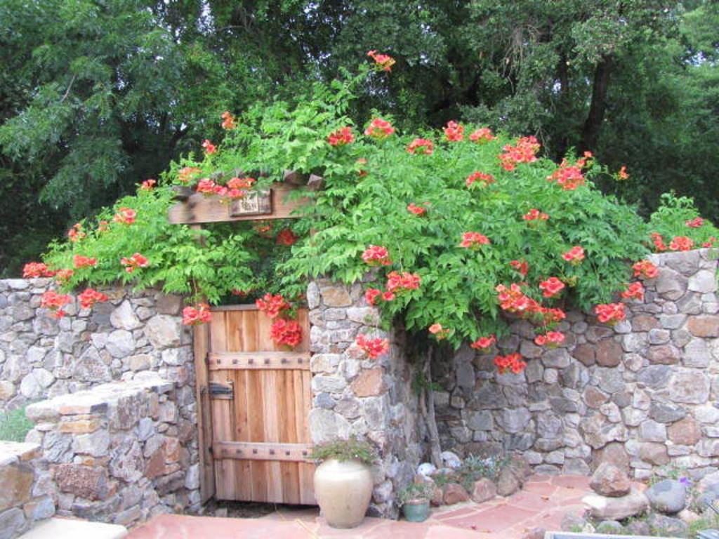 The Hummingbird Gate