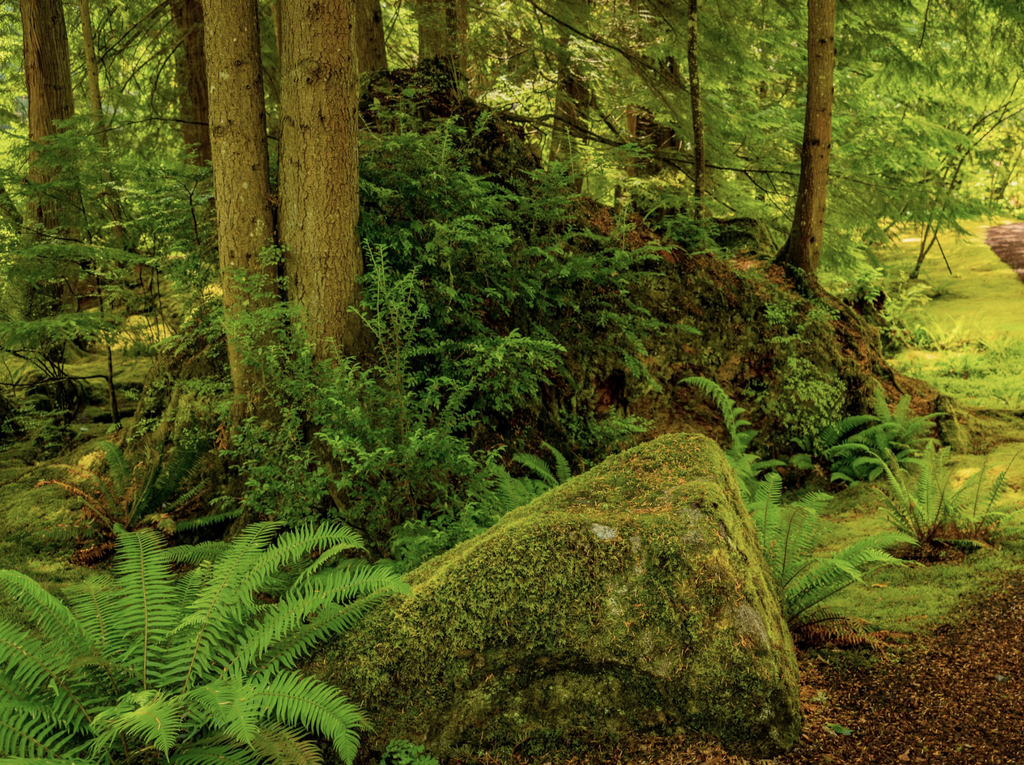 Great hiking and biking trails throughout Bainbridge Island