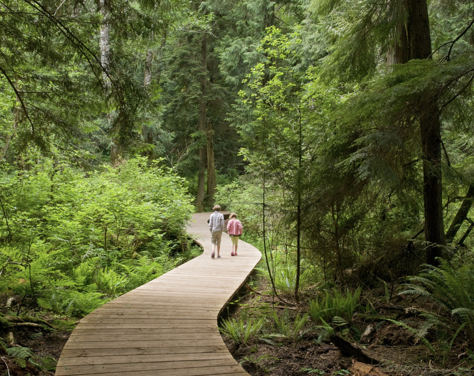 Walking paths, Bainbridge Island