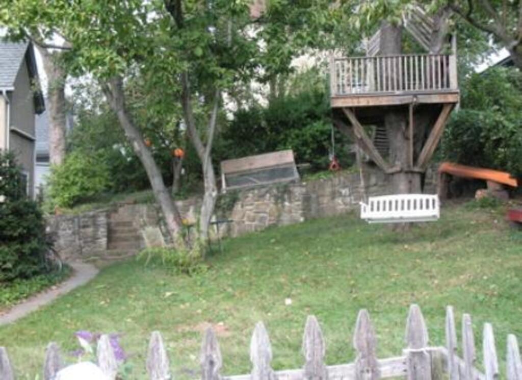 backyard / tree house