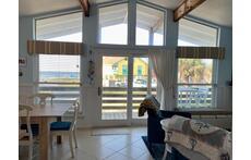 Open floor plan, lots of sun coming in