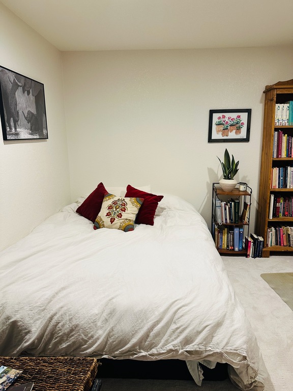 queen size bed in basement bedroom/office