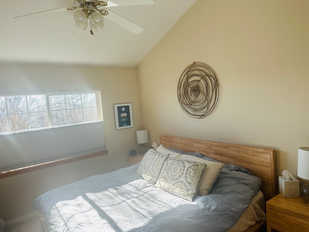 master bedroom with king size bed, attached master bath suite and closet