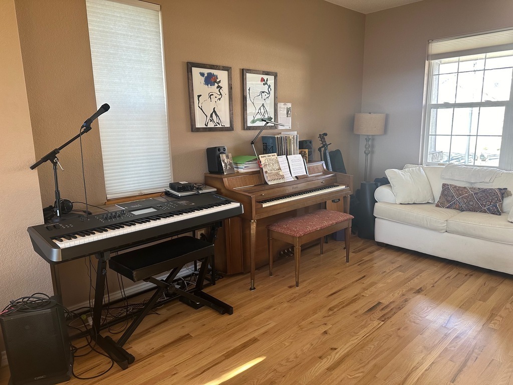 other living room with piano and keyboard you are welcome to play
