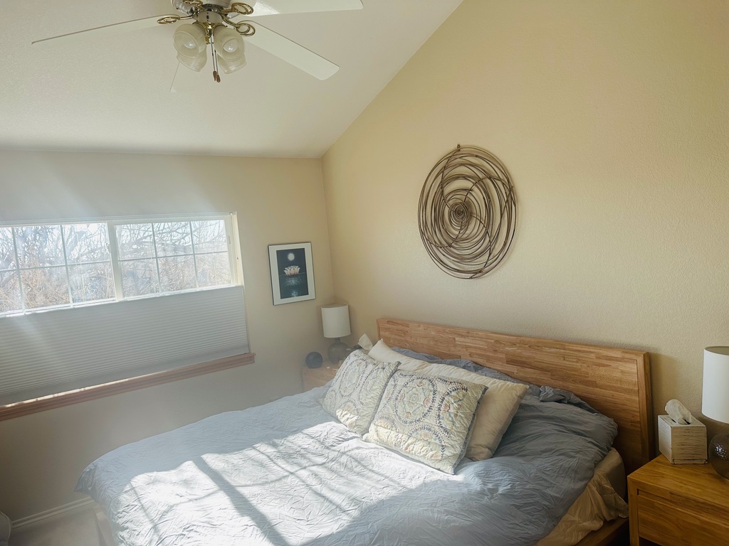 master bedroom with king size bed, attached master bath suite and closet