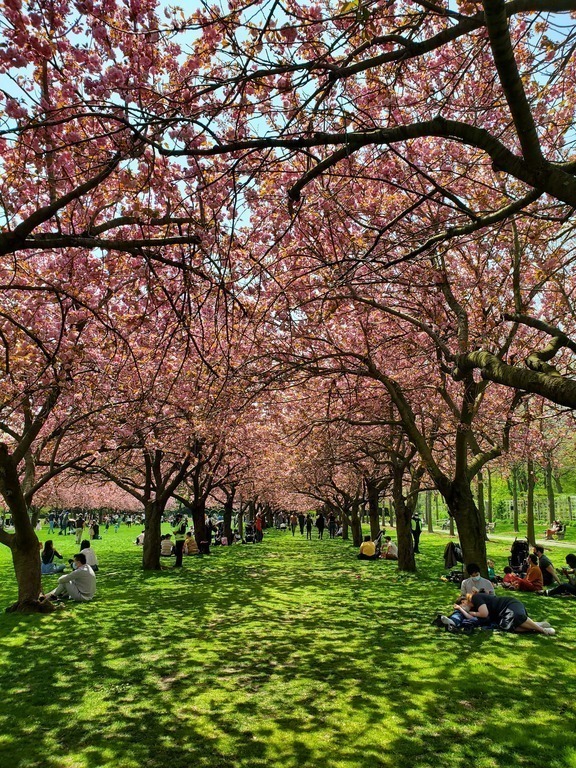 Not far from the Brooklyn Botanic Garden