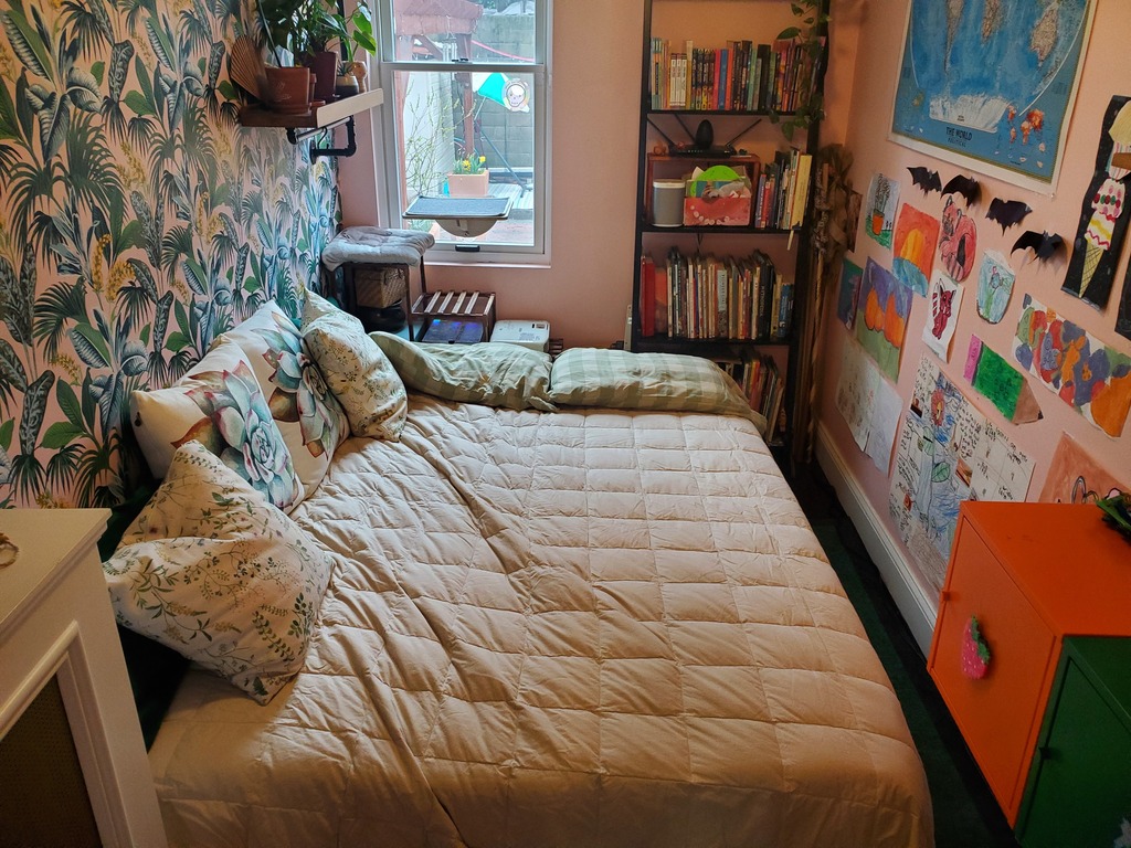 Back room with the futon in bed mode.