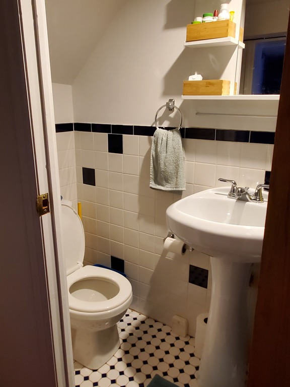 Second bathroom, with shower