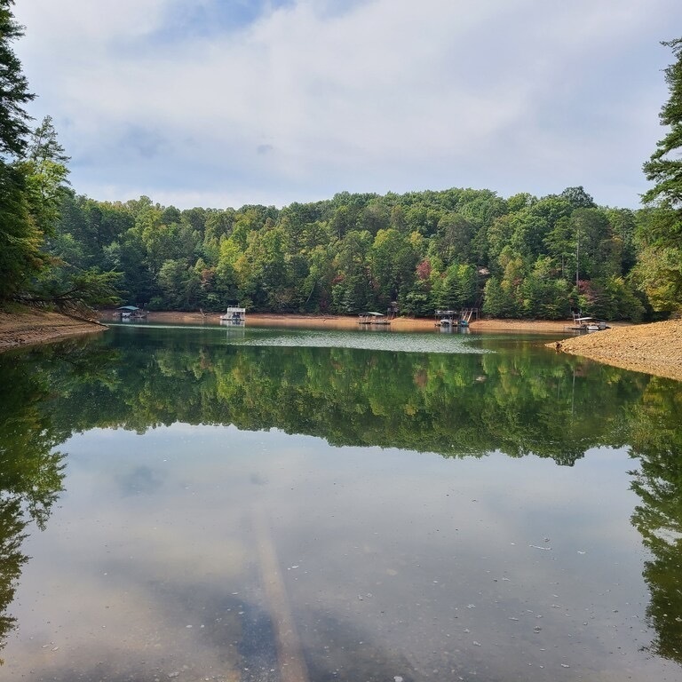 Beautiful Lake Blue Ridge 7 miles away