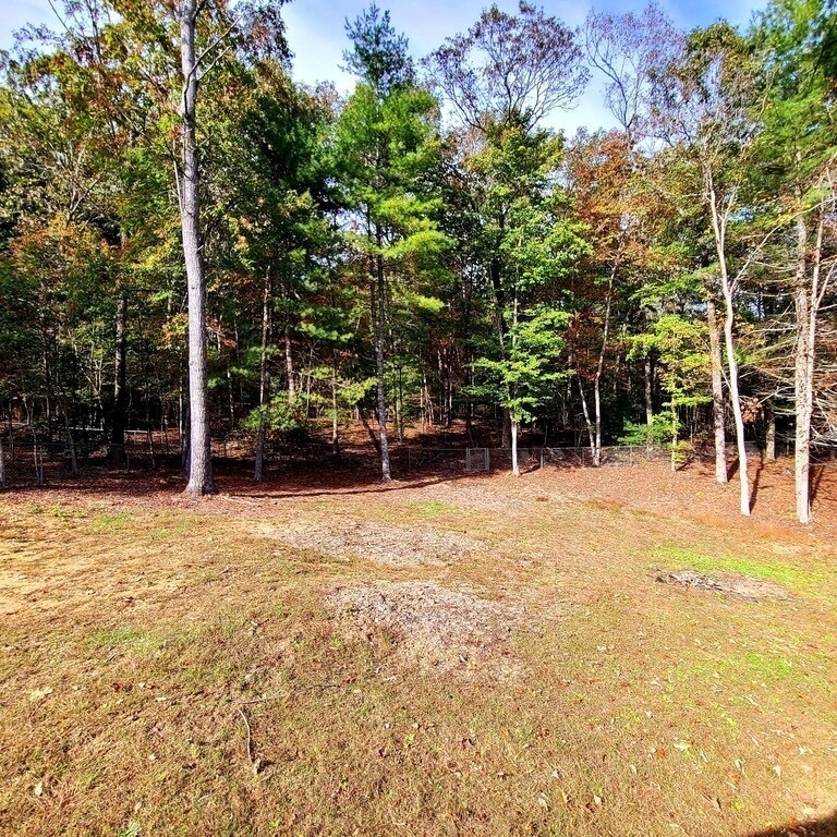 Fenced in 1 acre yard