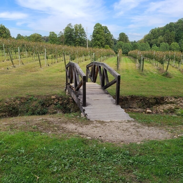 Winery 3 minutes away