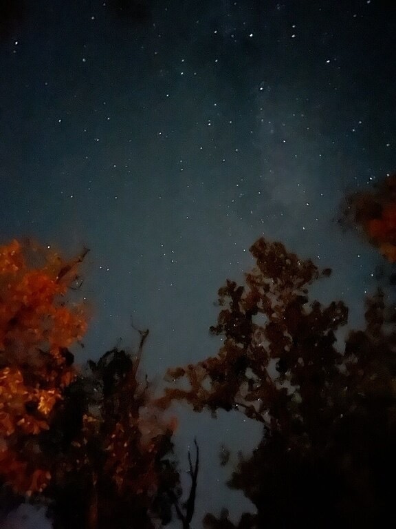 Beautiful starry night