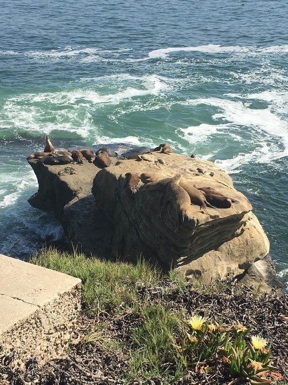 La Jolla