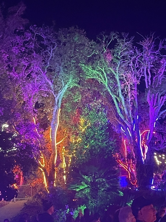 Holiday lights at the Encinitas Botanical Gardens
