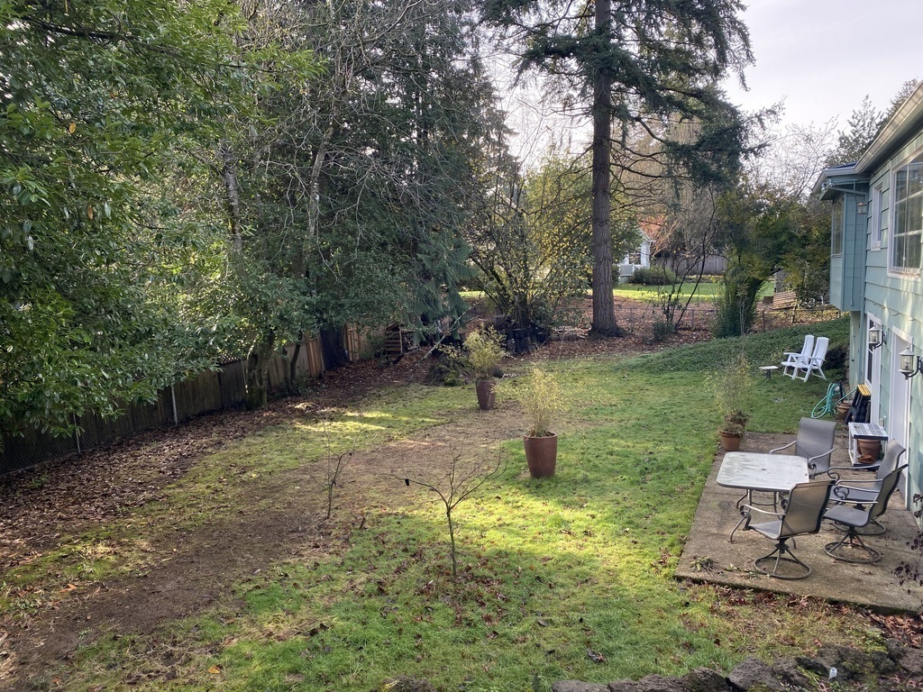 Winter shot of the firs, pines, cedars and many more trees in the back
