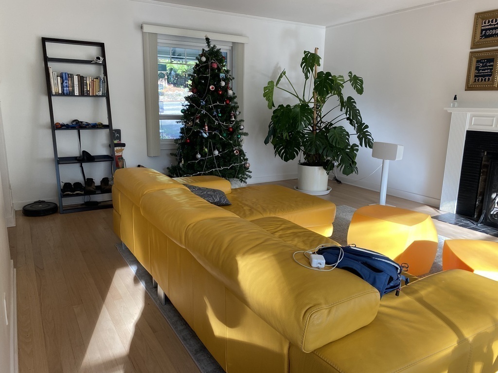 Christmas time photo of living room