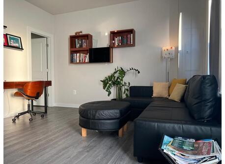 Den with sleeper sofa and work space