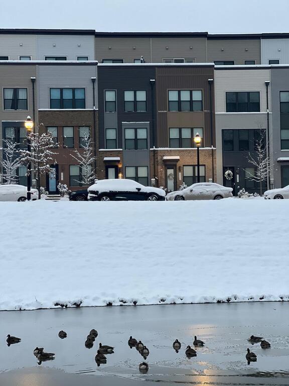 View of the house from the green way in winter