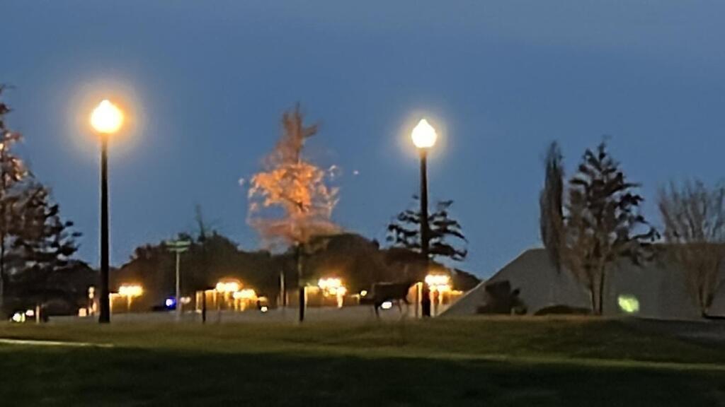 View from metro station