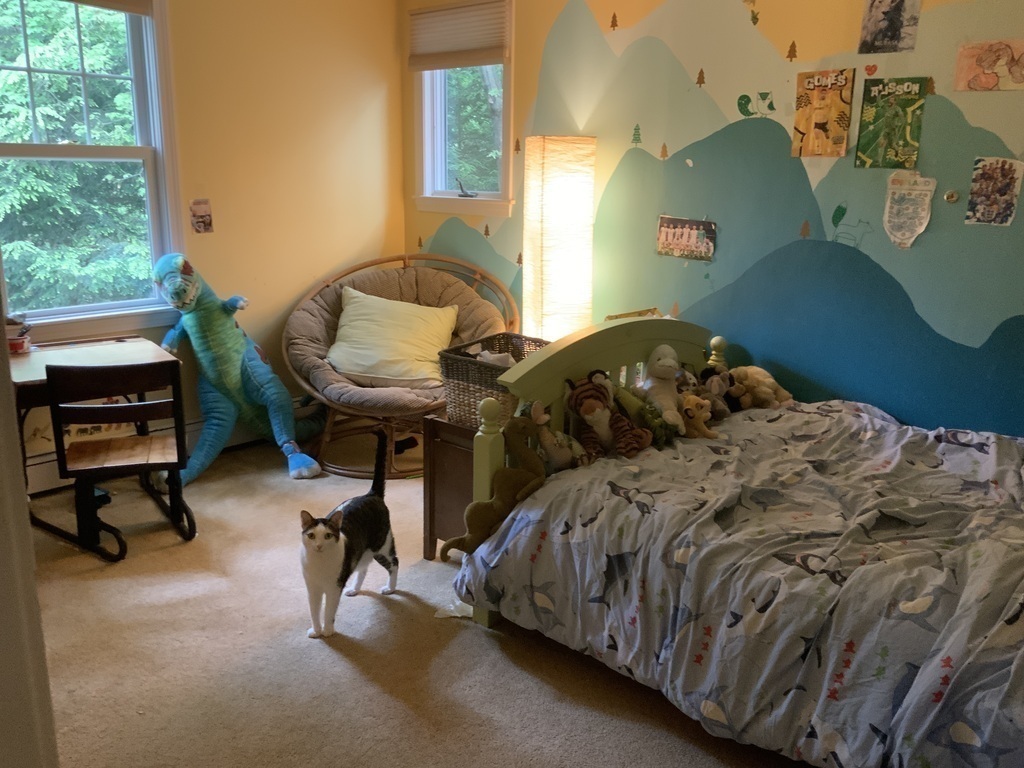 Bedroom 3- Double bed