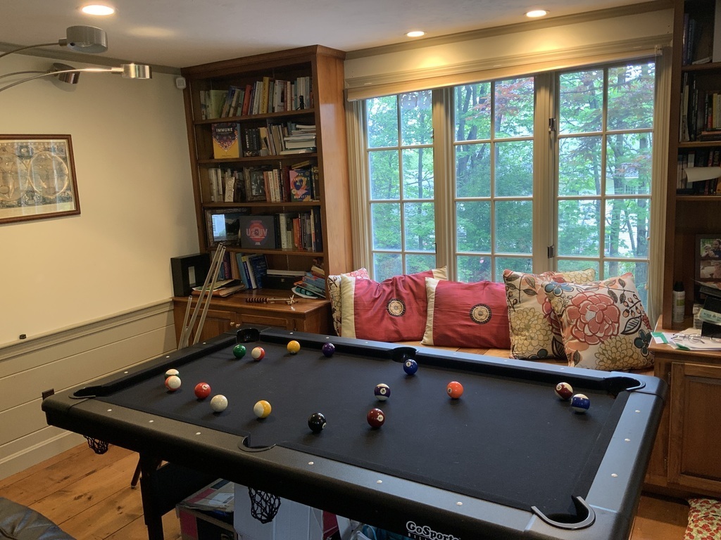 TV room has reading nook and pool table
