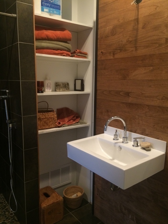 Main floor bath and shower