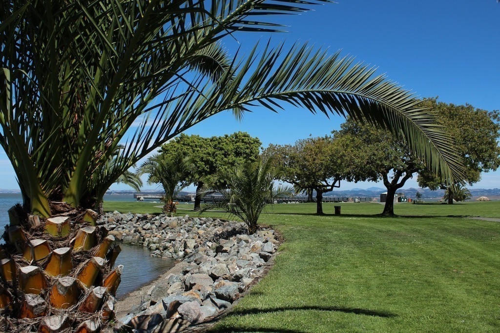 McNears Beach, San Rafael