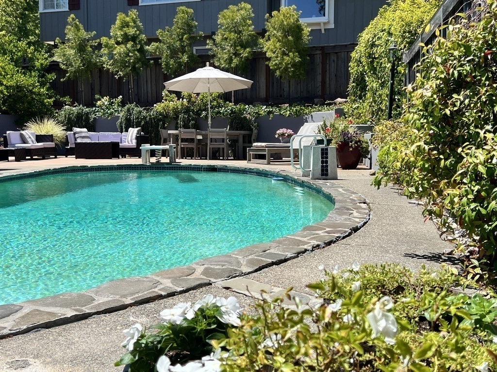 Pool and backyard