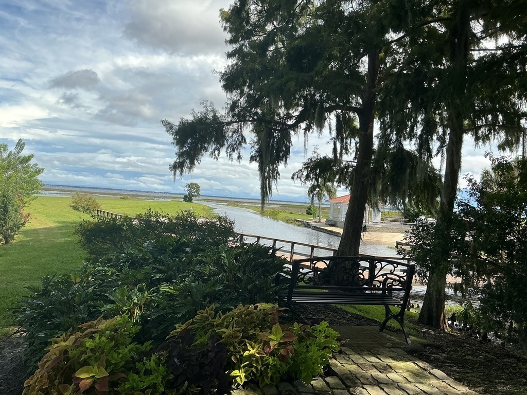 View of East Lake Tohopekalia from “The Bay”