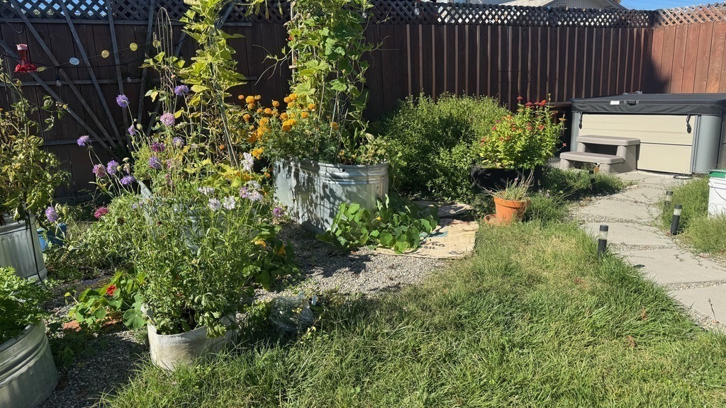 Private hot tub in the garden