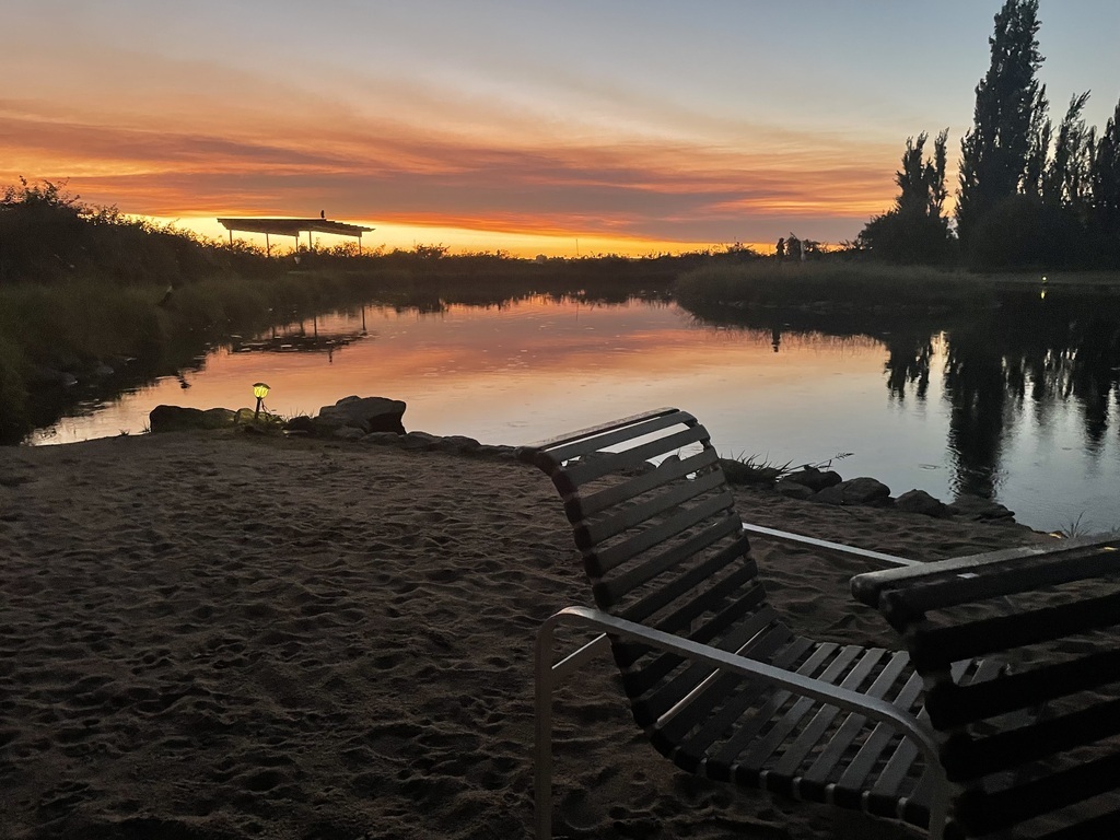 Pond and beach (in winter)
