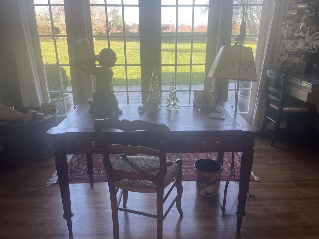 Desk looking over back yard