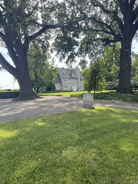 Backyard among the 300 year old oak trees