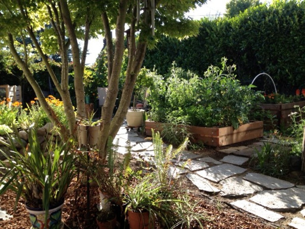 Front garden from deck looking west