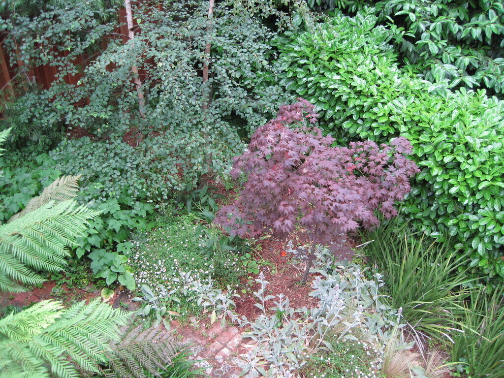 View of our back garden from the deck on the east side.